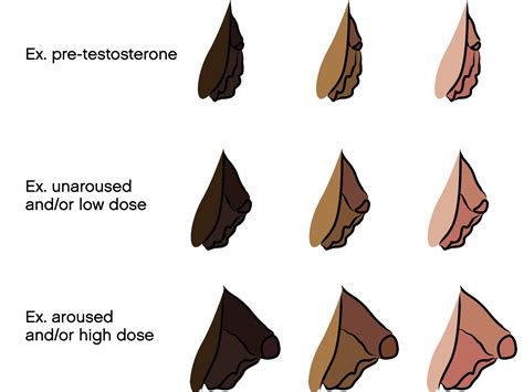 bottom growth|Testosterone HRT and Bottom Growth